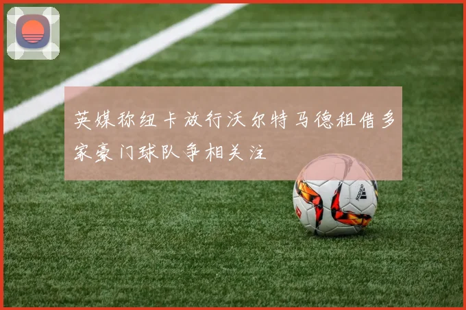 英媒称纽卡放行沃尔特马德租借多家豪门球队争相关注
