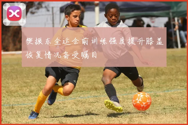 樊振东全运会前训练强度提升膝盖恢复情况备受瞩目